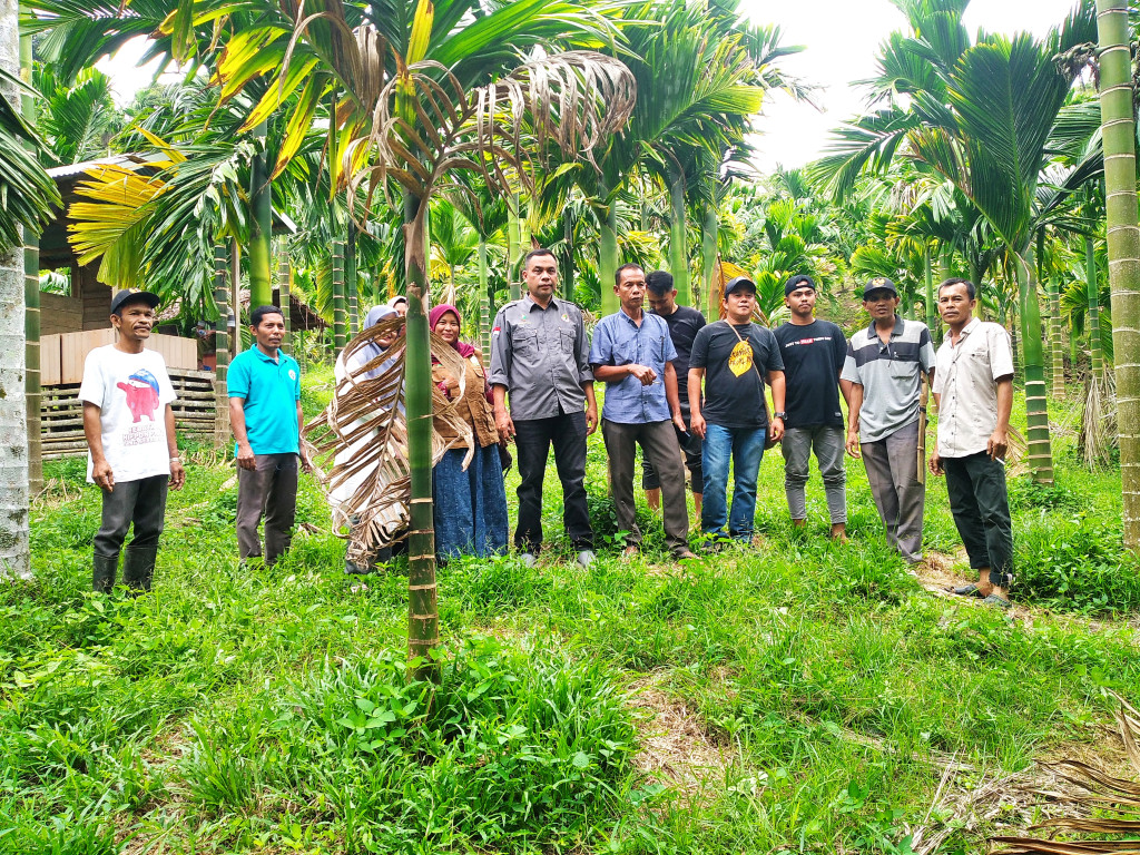 Peninjuan Lahan Penanaman Bibit